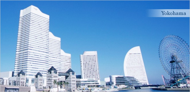 ������F���(hu��)2015